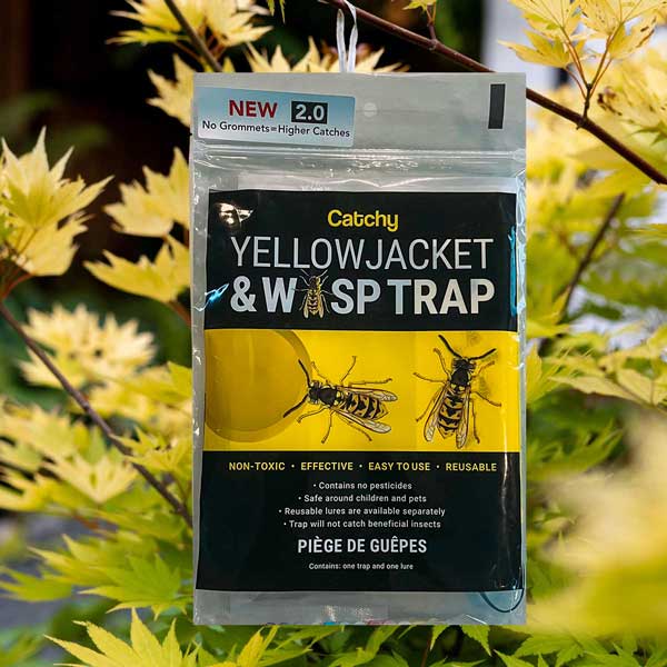 Catchy Wasp & Hornet Traps | Intko Supply Ltd